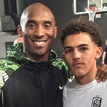 茶园与云海 茶园与云海