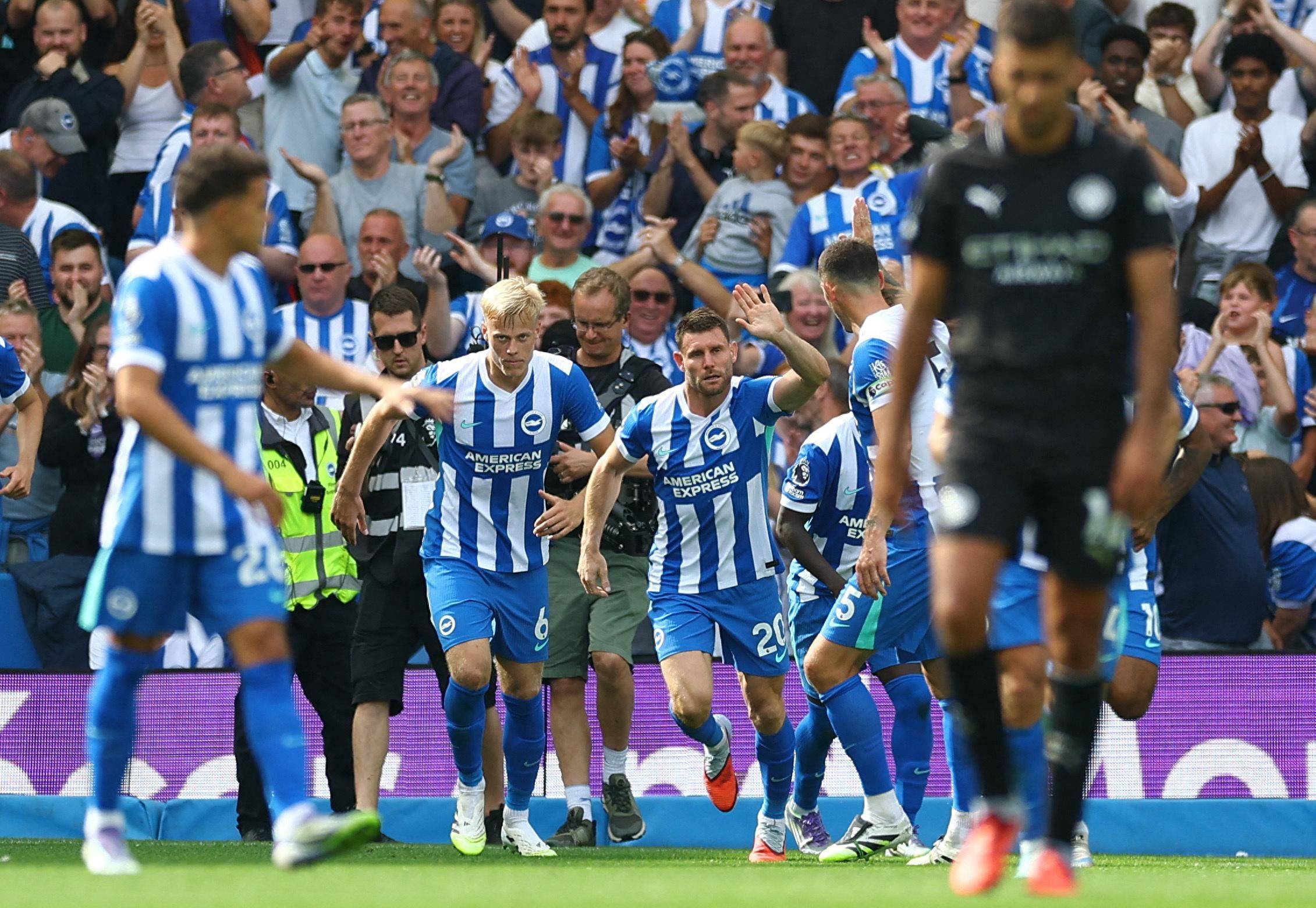 能为球队品 能为球队品